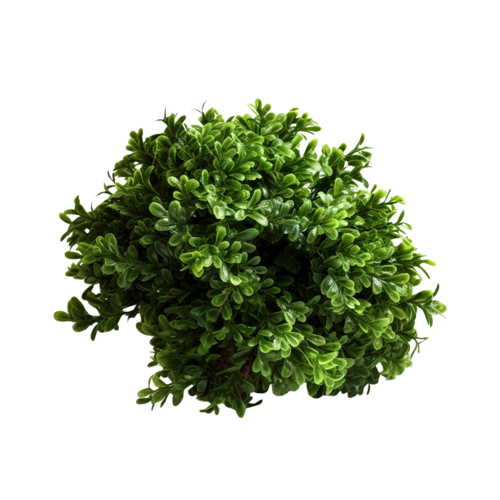 AI generated Green bush clip art png