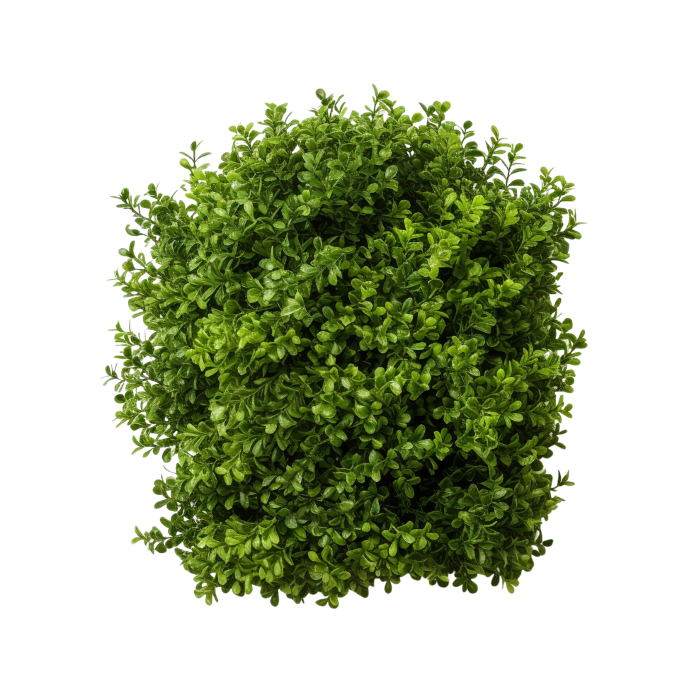 AI generated Green bush clip art png