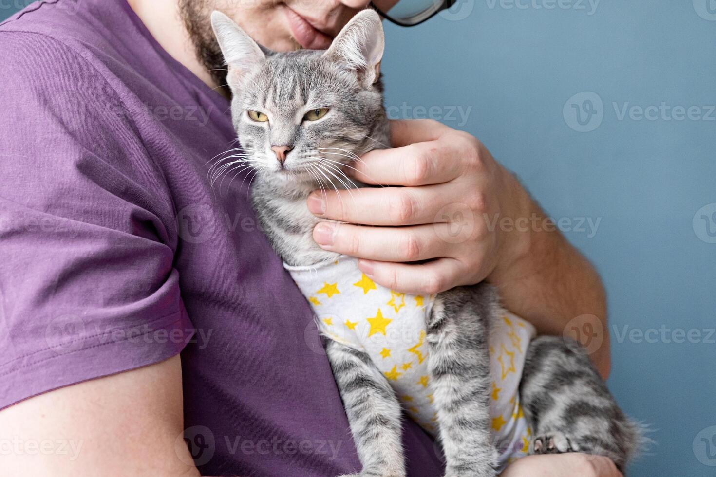 Pet sterilization concept. Adorable kitty portrait in special suit bandage recovering after surgery photo