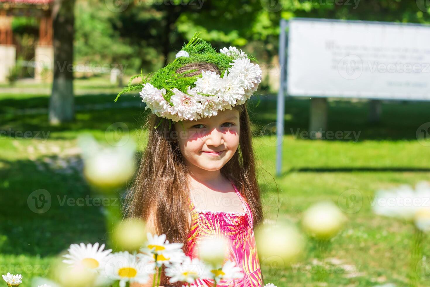 bonito pequeño niña en el naturaleza, niña en verano foto