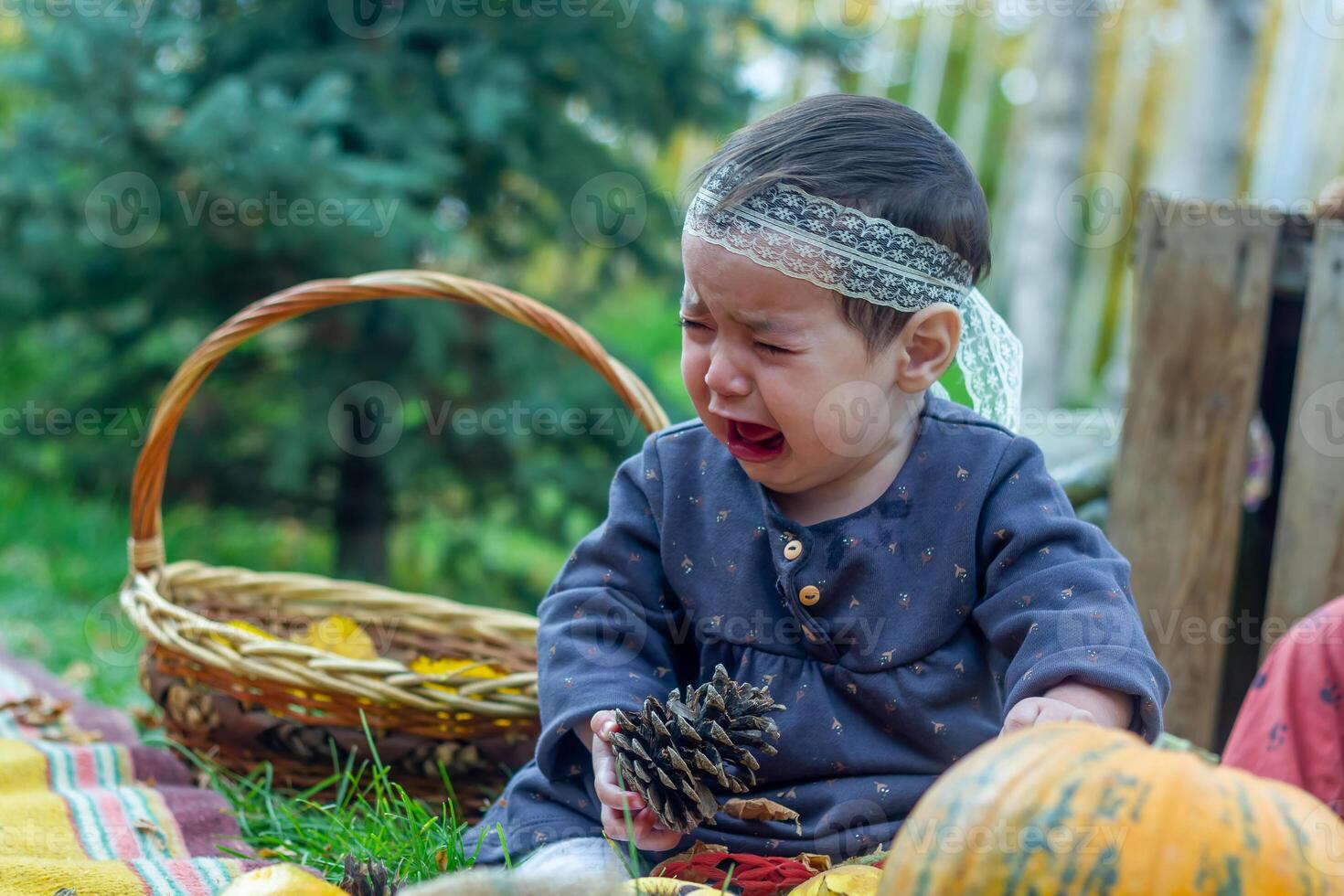 the little child playing in the park with fruits, little girl in the autumn park photo