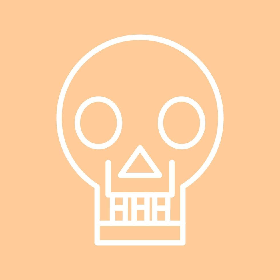 Skull X ray Vector Icon