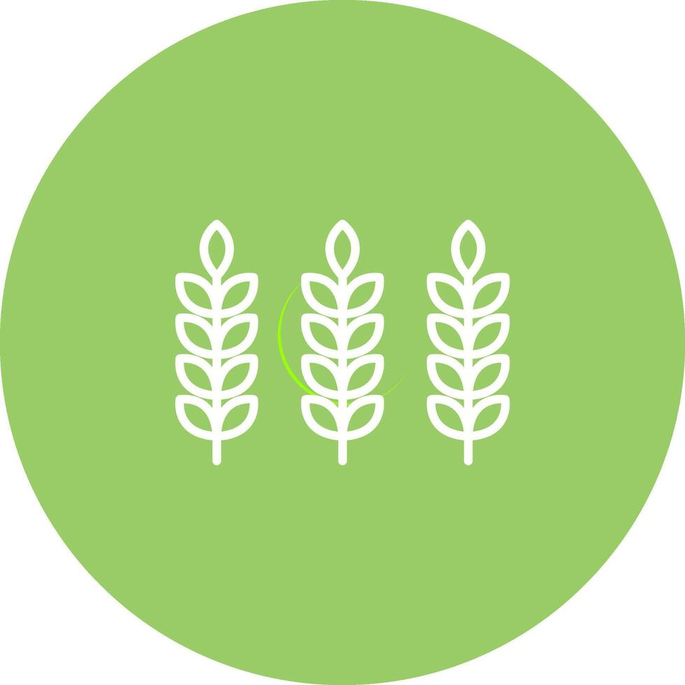 Wheat Vector Icon