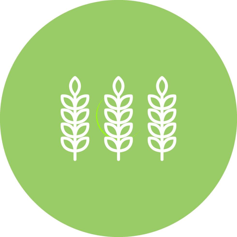 Wheat Vector Icon