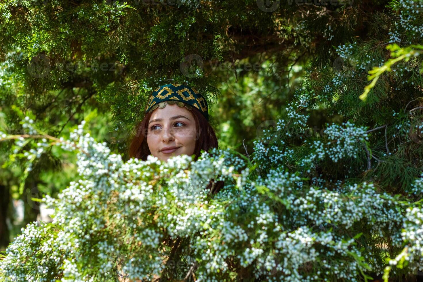 armenio joven mujer en tradicional ropa en el naturaleza en verano foto