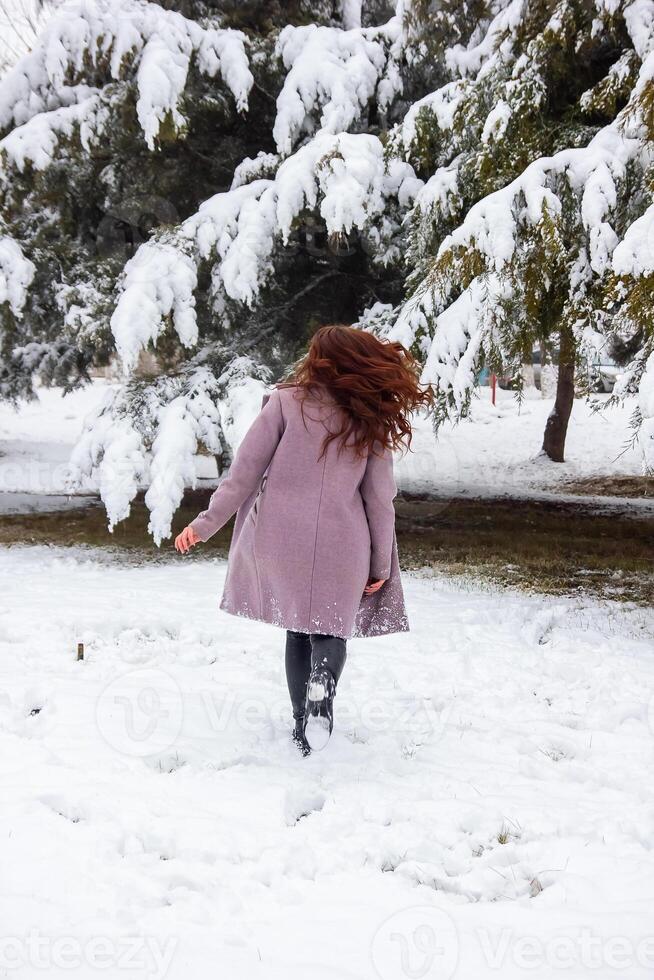 pretty young woman in winter park, red haired girl in the park in winter photo