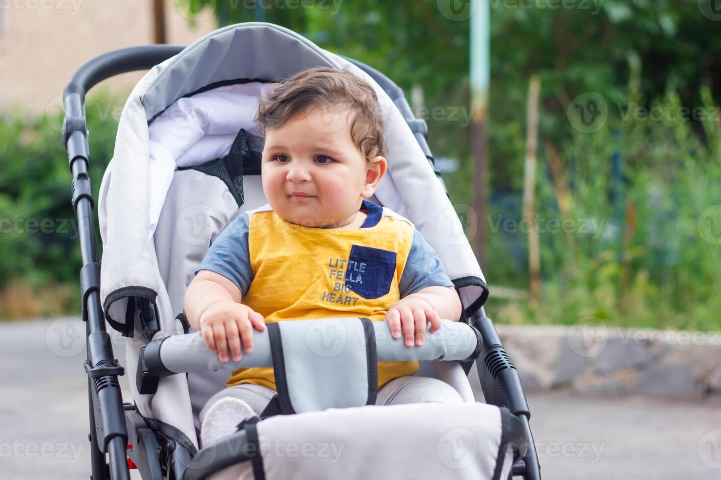 baby boy in stroller in the garden photo