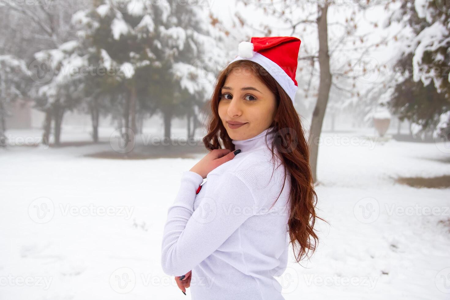 bonito joven mujer en invierno parque, rojo peludo niña en el parque en invierno foto