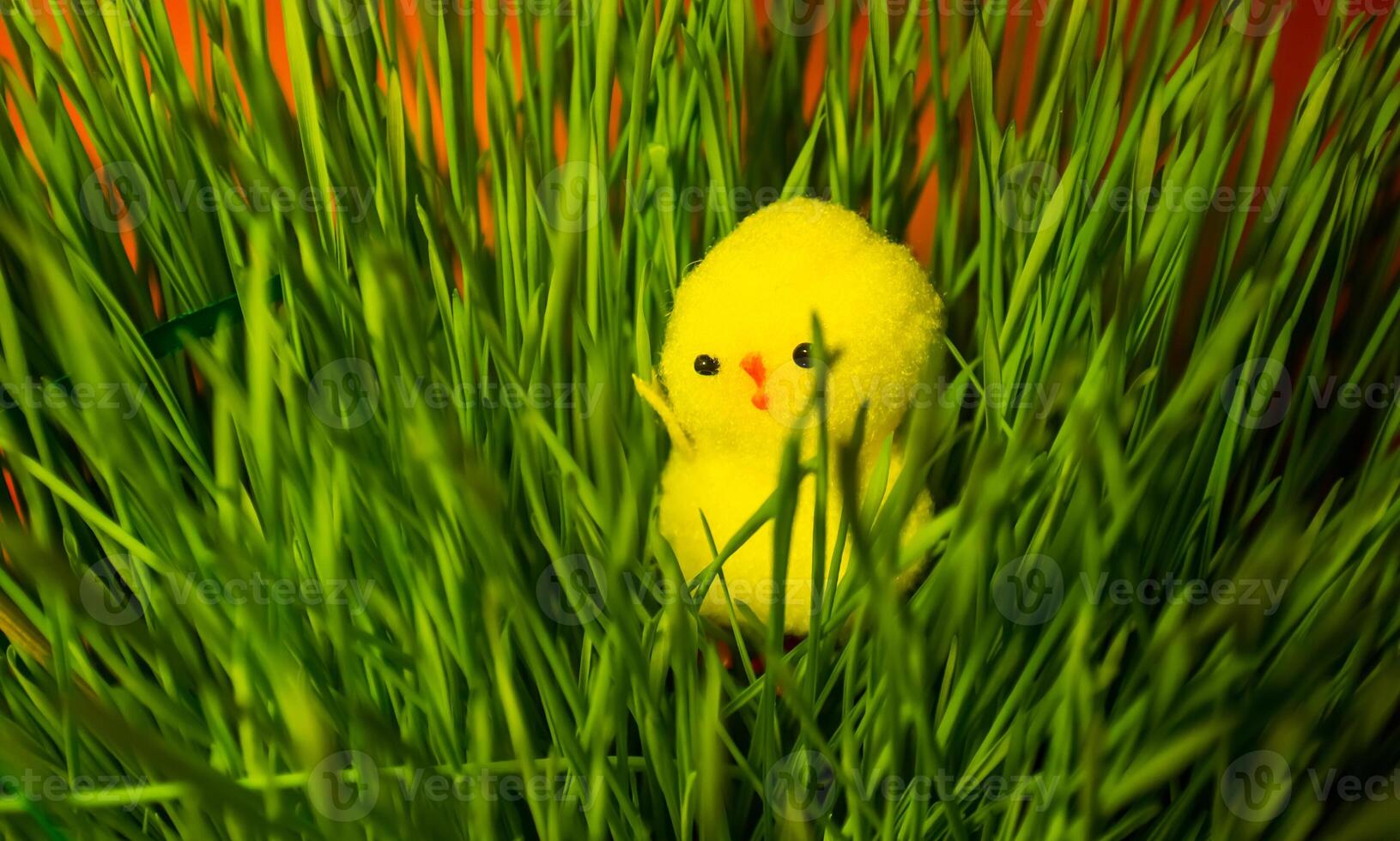 easter background, easter seasonal background photo