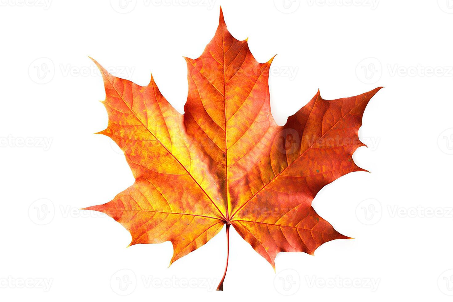 AI generated Autumn Splendor Vibrant Maple Leaf Showcasing the Beauty of the Fall Season. created with Generative AI photo