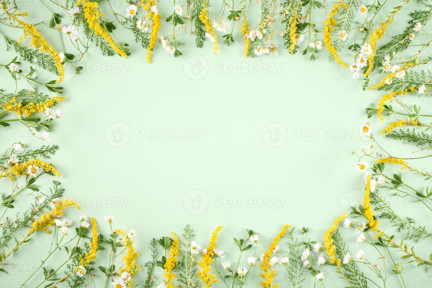 Green grass with little yellow and white flowers as oval frame on light green background photo