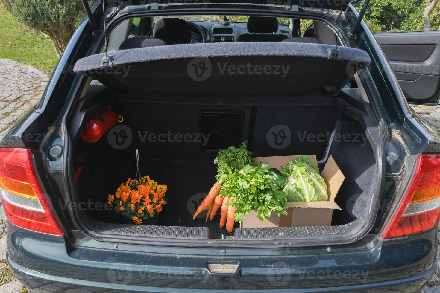 cardboard box with an assortment of fresh vegetables stands in the trunk of a car, natural products and healthy eating photo