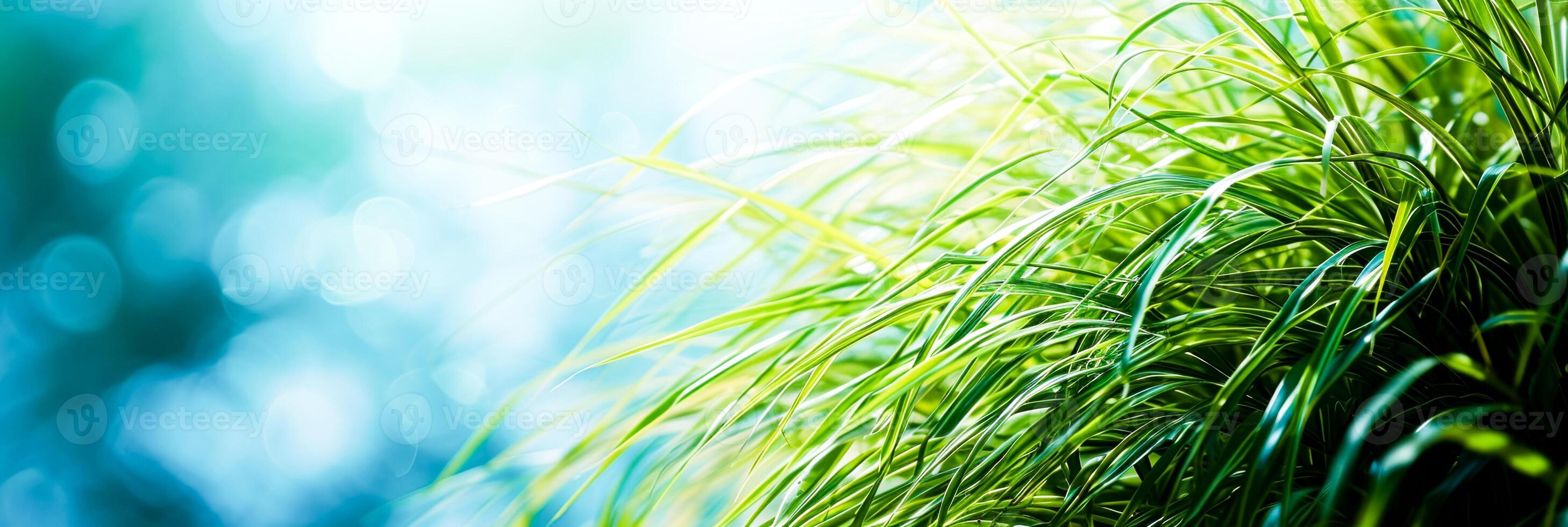 AI Generated A close-up of vibrant green grass with a soft, blurred bokeh effect. Great for environmental or green-living themes photo