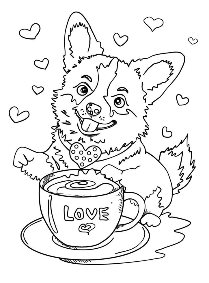 Cute Corgi enjoying coffee, surrounded by hearts coloring page,isolated black and white vector