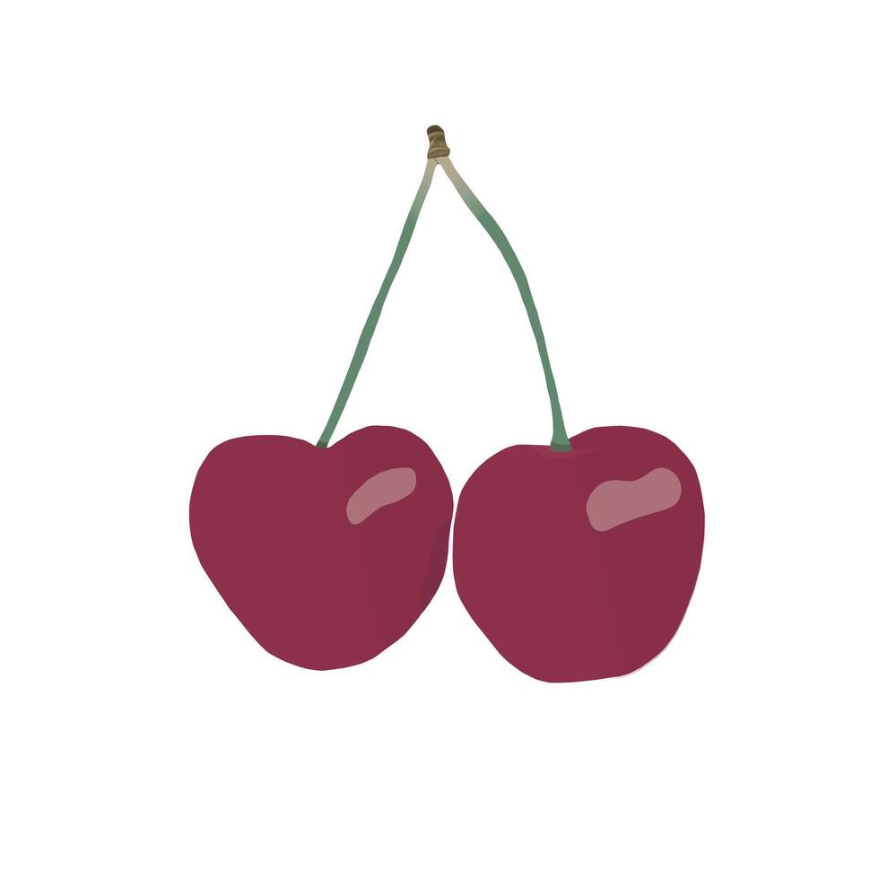 cherry picture file vector