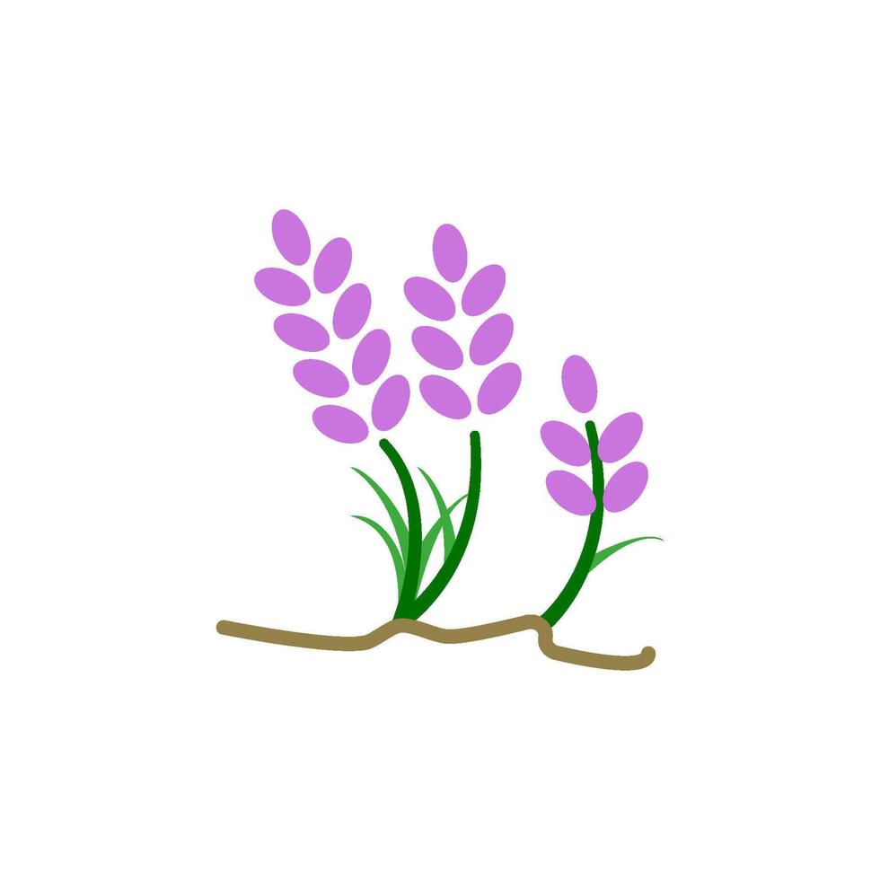 lavender icon vector design templates