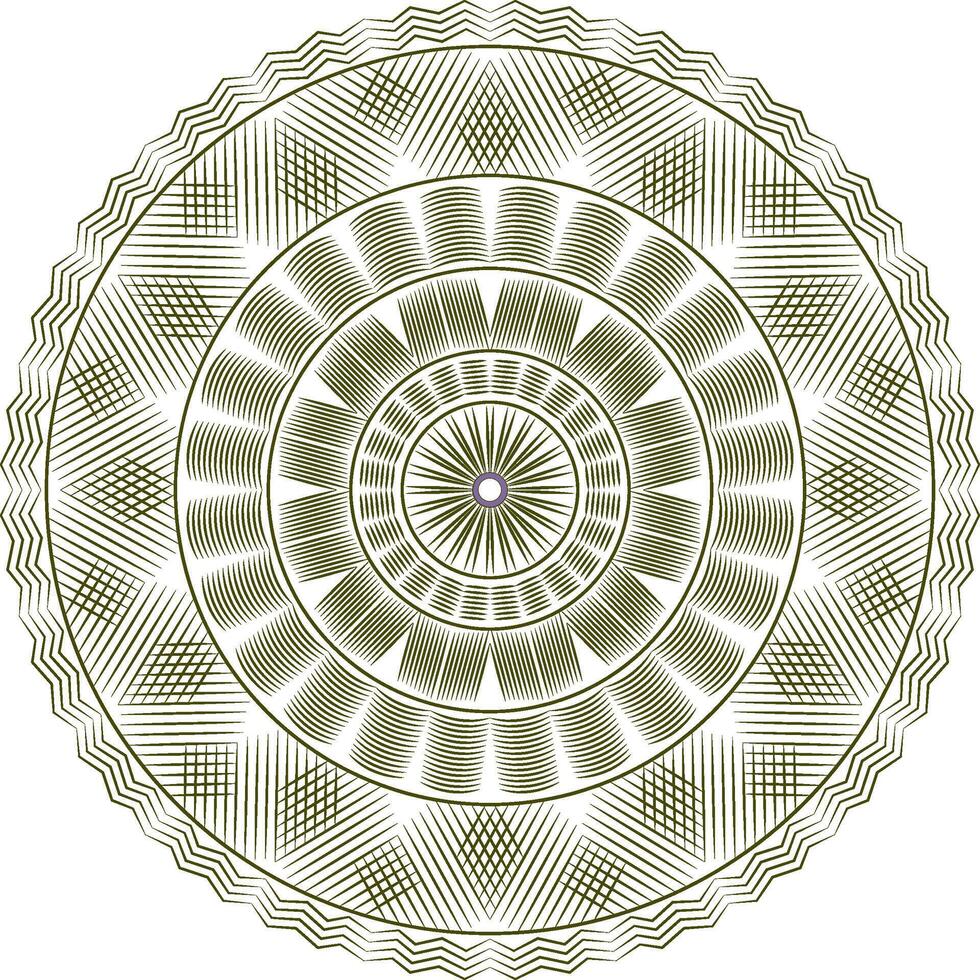 A circular design in green and white vector