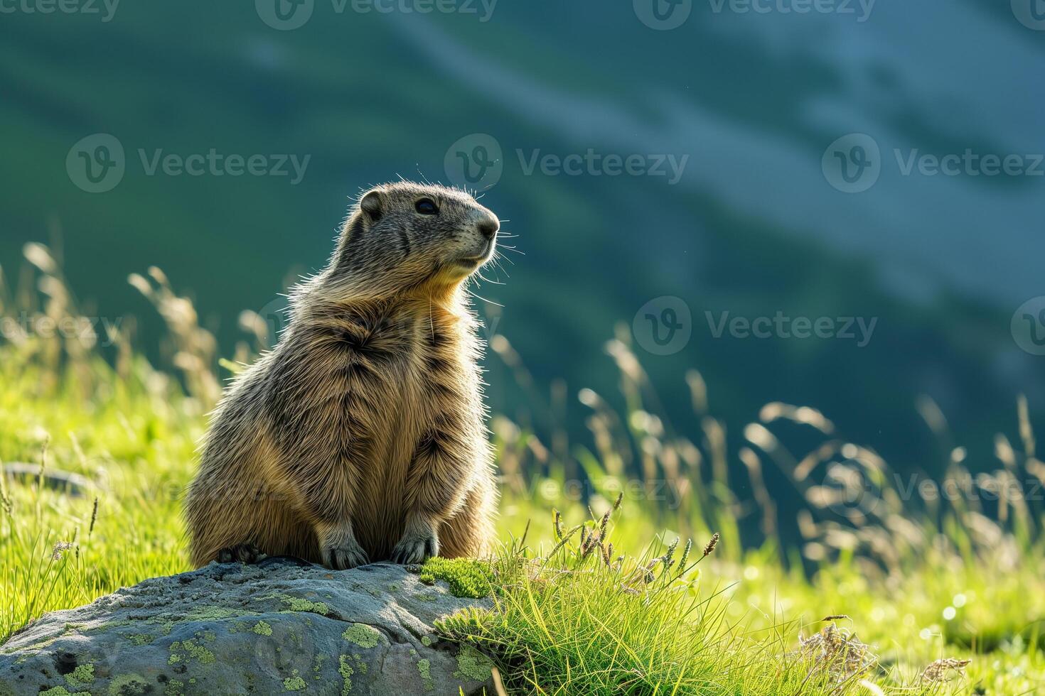 AI generated cute groundhog crawled out of his hole and basks in the sun, groundhog day photo