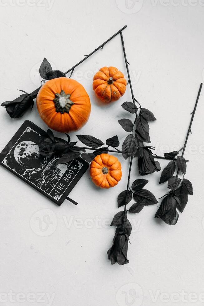 Halloween decoration on white background. Pumpkins, black leaves and an old book. photo