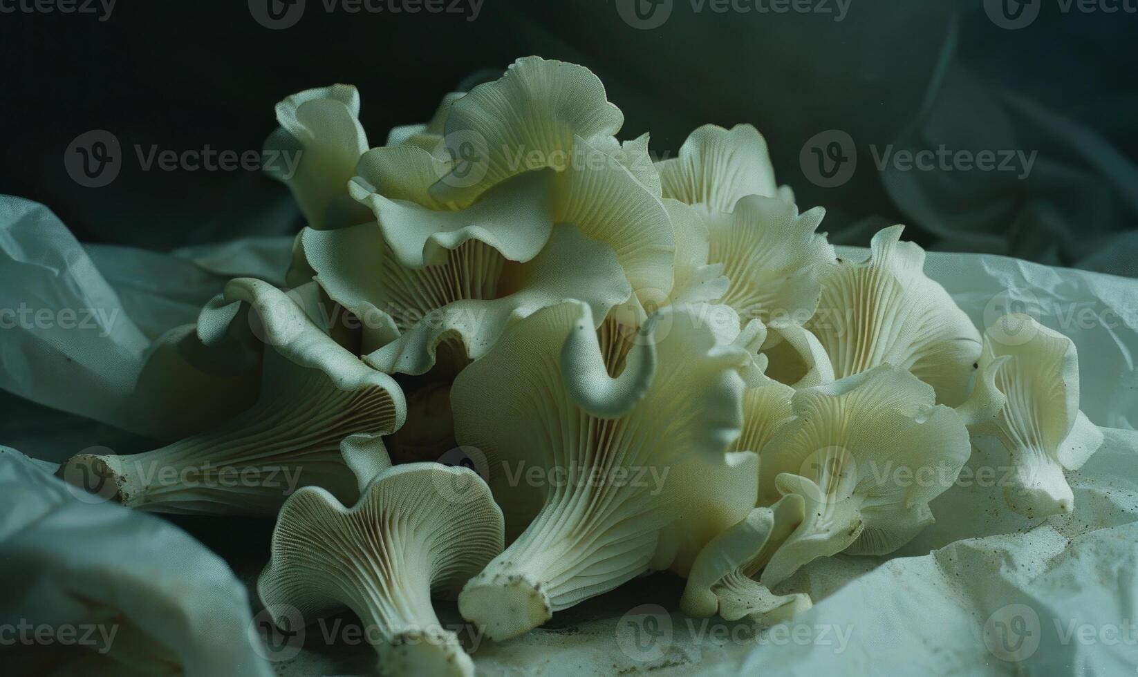 AI generated Oyster mushrooms on a marble table. Selective focus. photo