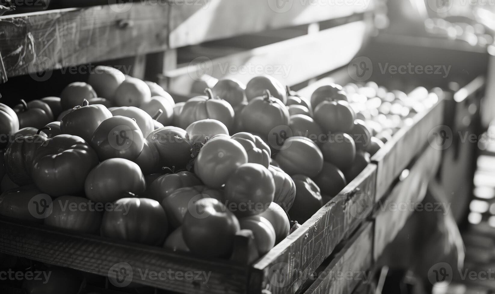 AI generated Tomatoes in a wooden box on the market. Black and white. photo