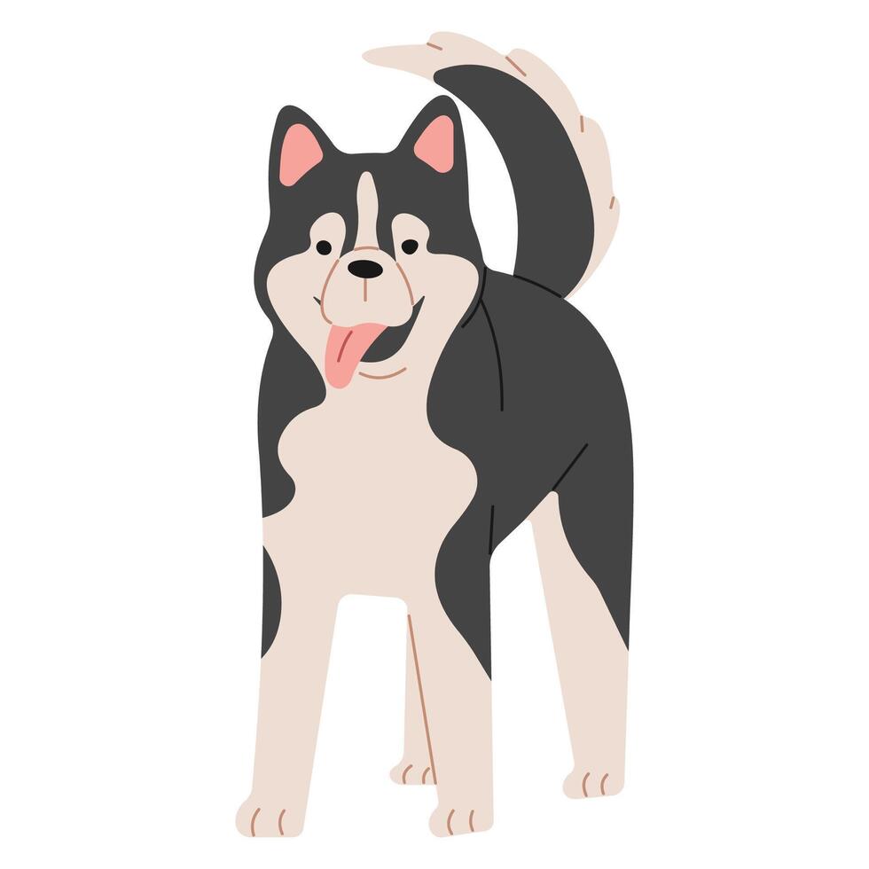 Siberian Husky cute on a white background, vector illustration.