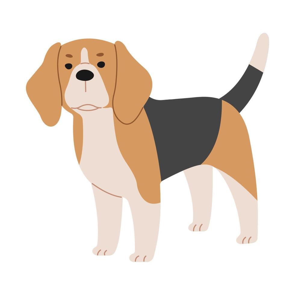 beagle linda en un blanco fondo, vector ilustración.