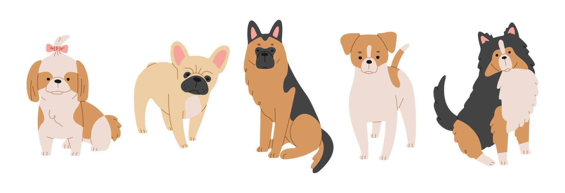 Dogs 4cute on a white background, vector illustration.