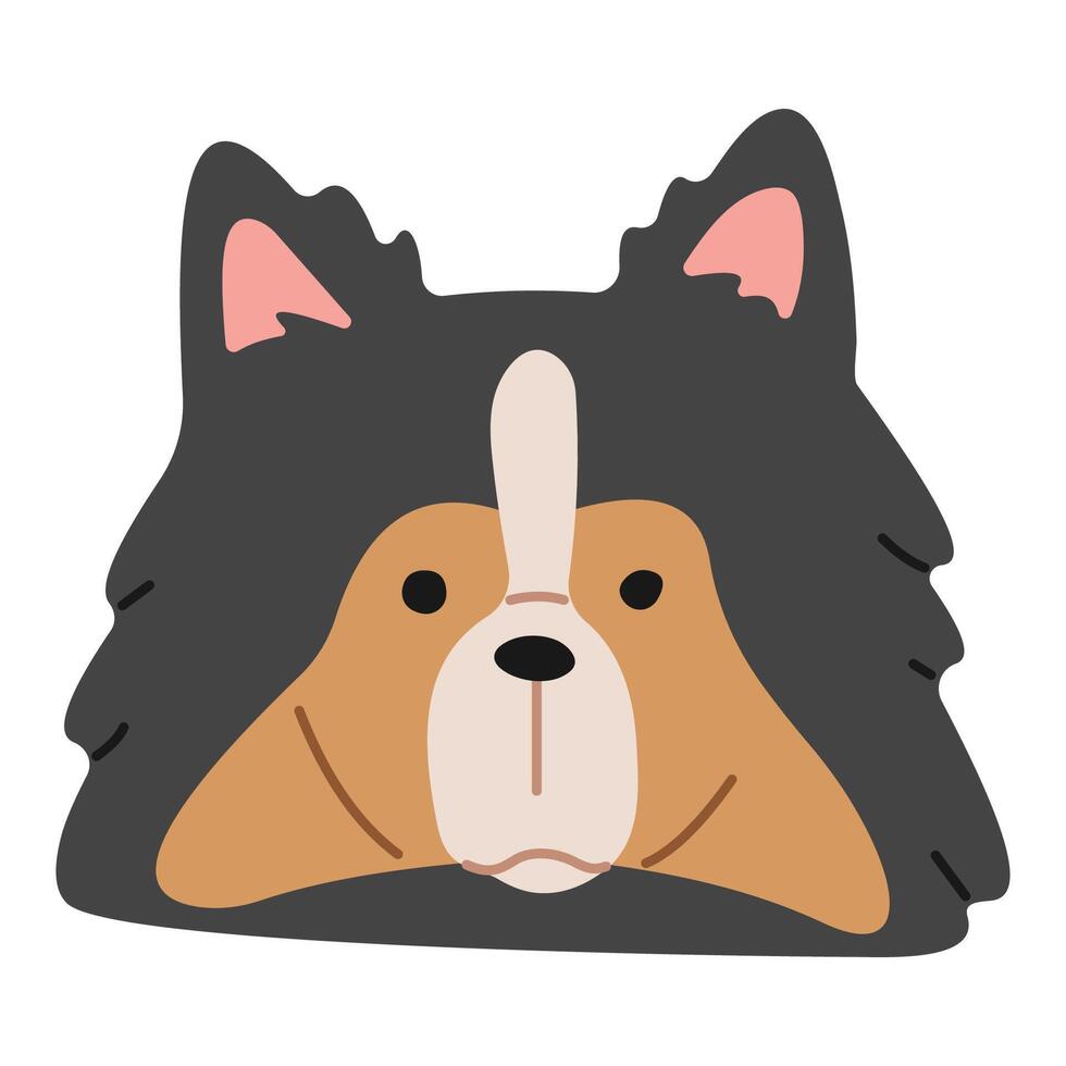 Shetland Sheepdog Head 1 cute on a white background, vector illustration.