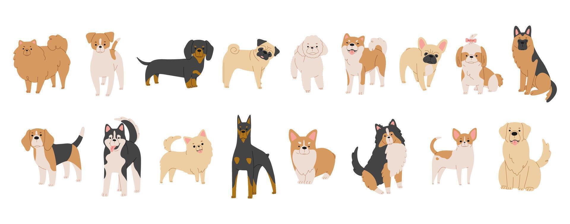 Dogs Collection cute on a white background, vector illustration.