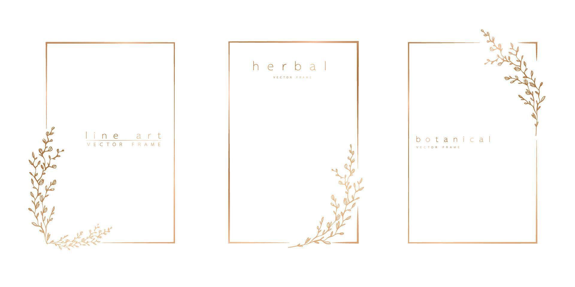 Set of frame templates in minimal linear style with hand drawn branches and leaves. Elegant frame. Botanical vector illustration for labels, corporate identity, wedding invitation, logo, save the date