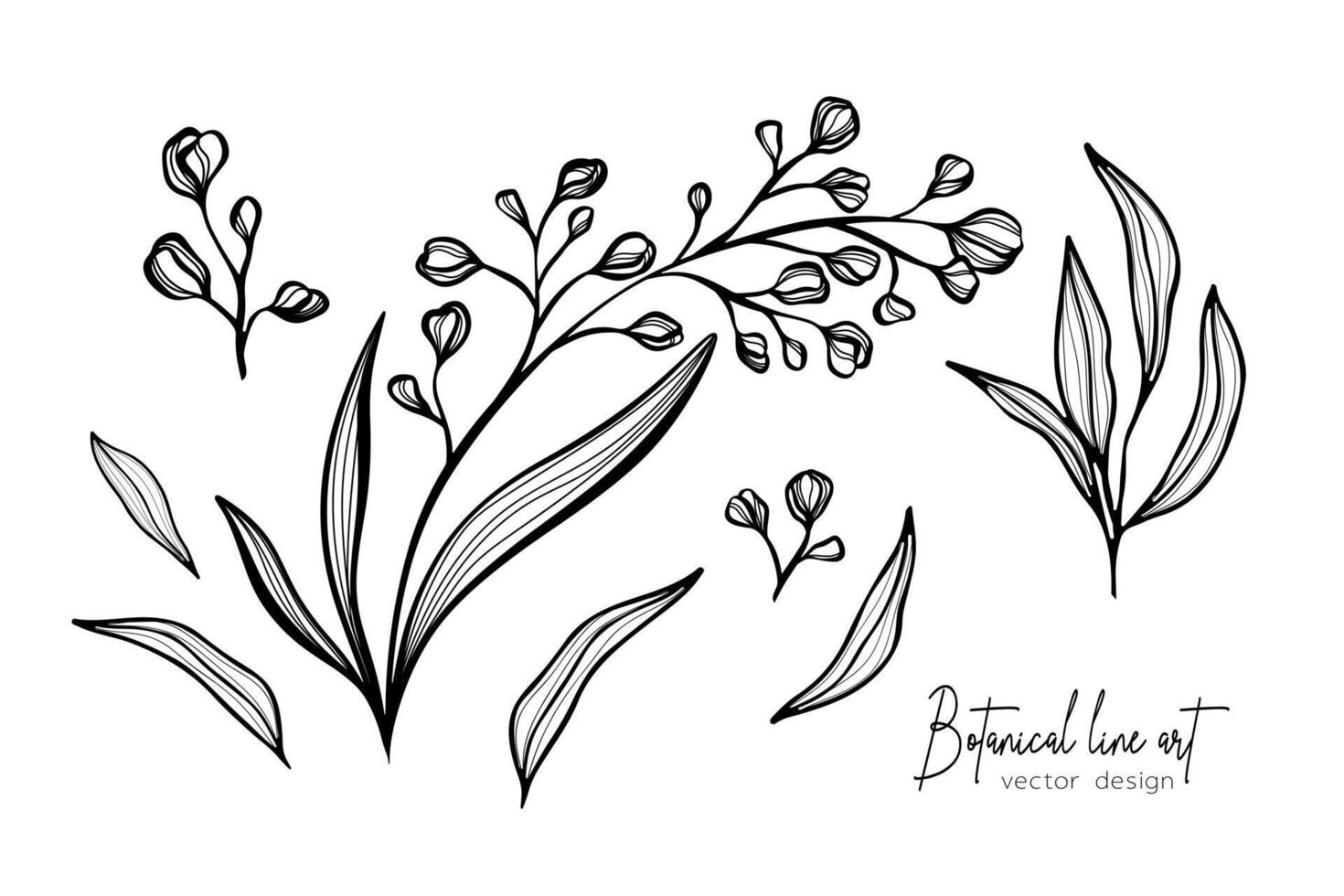 Botanical elegant line art illustration of flower leaves branch for wedding invitation and cards, logo design, web, social media and poster, template, advertisement, beauty and cosmetic industry. vector