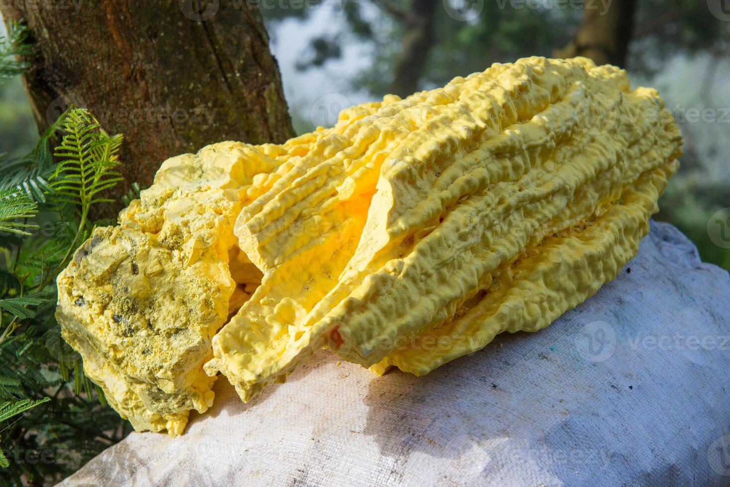 Pieces of raw Sulphur or Sulfur after mining from Kawah Ijen, a volcano in East Java, Indonesia. Sulphur is important to used in many other industries. photo