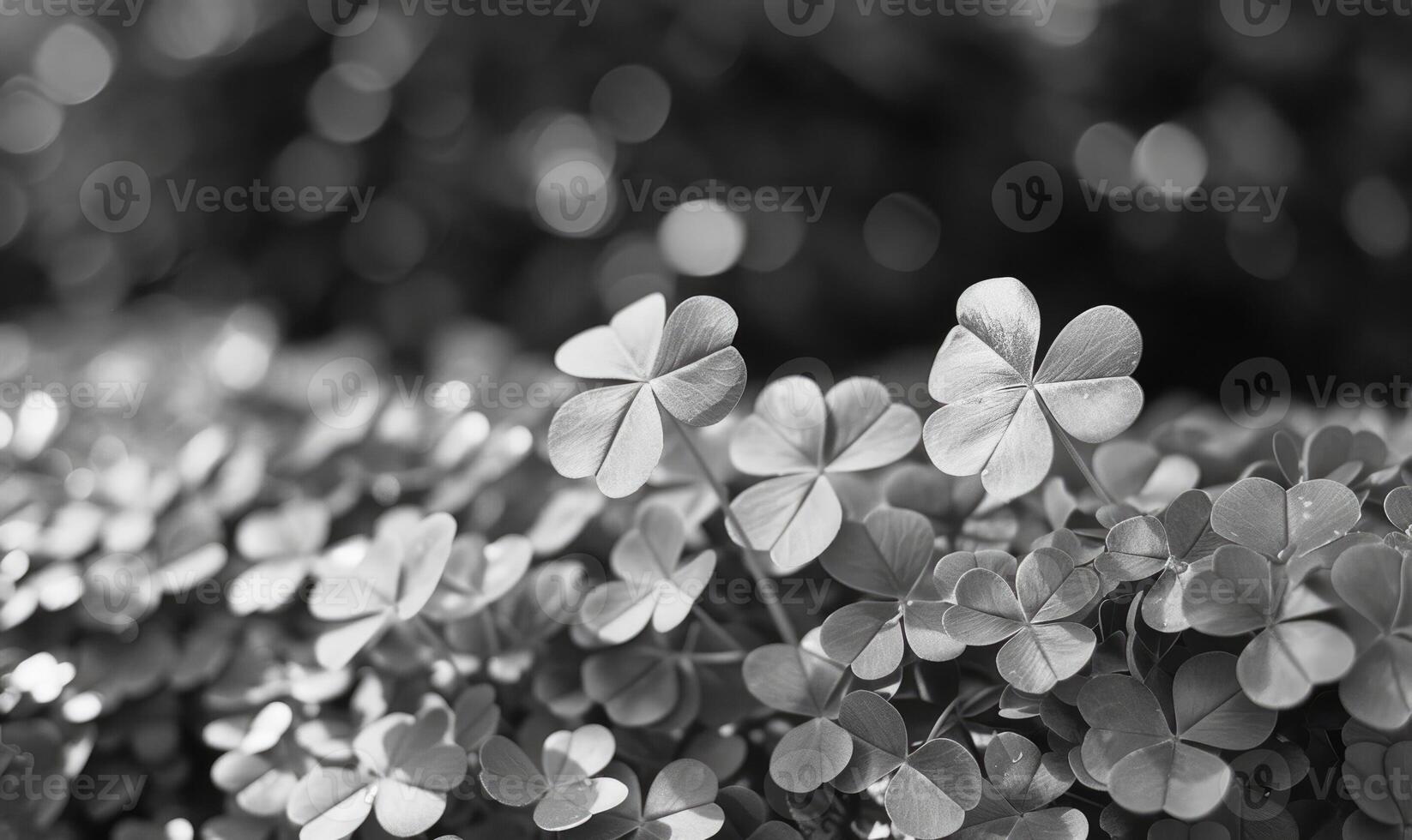 ai generado trébol hojas en negro y blanco con bokeh antecedentes. foto