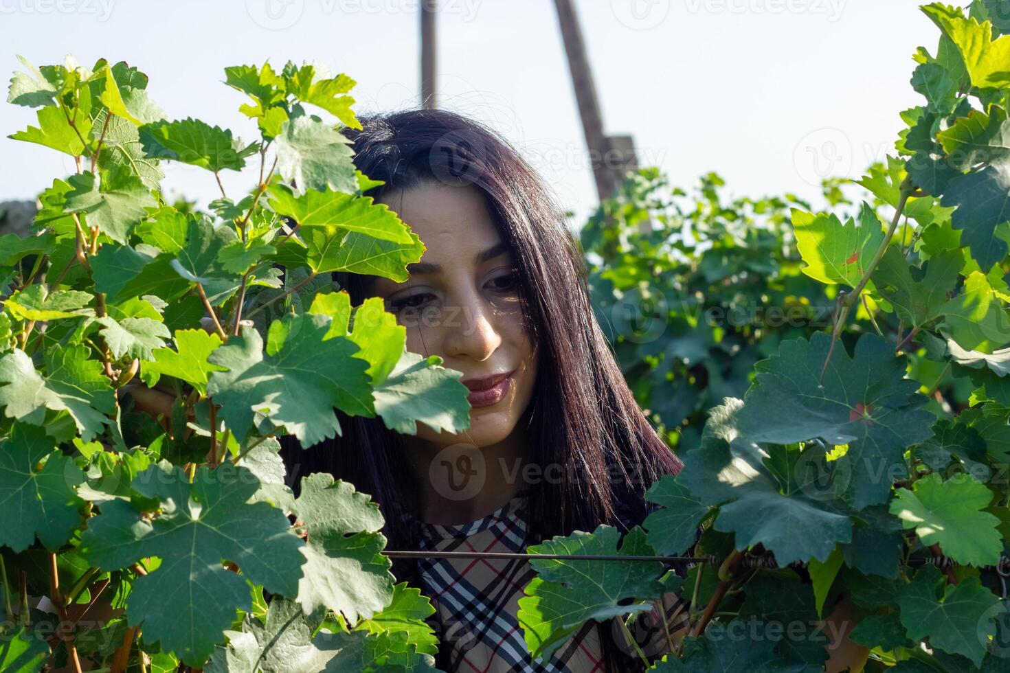 pretty young woman in the nature photo