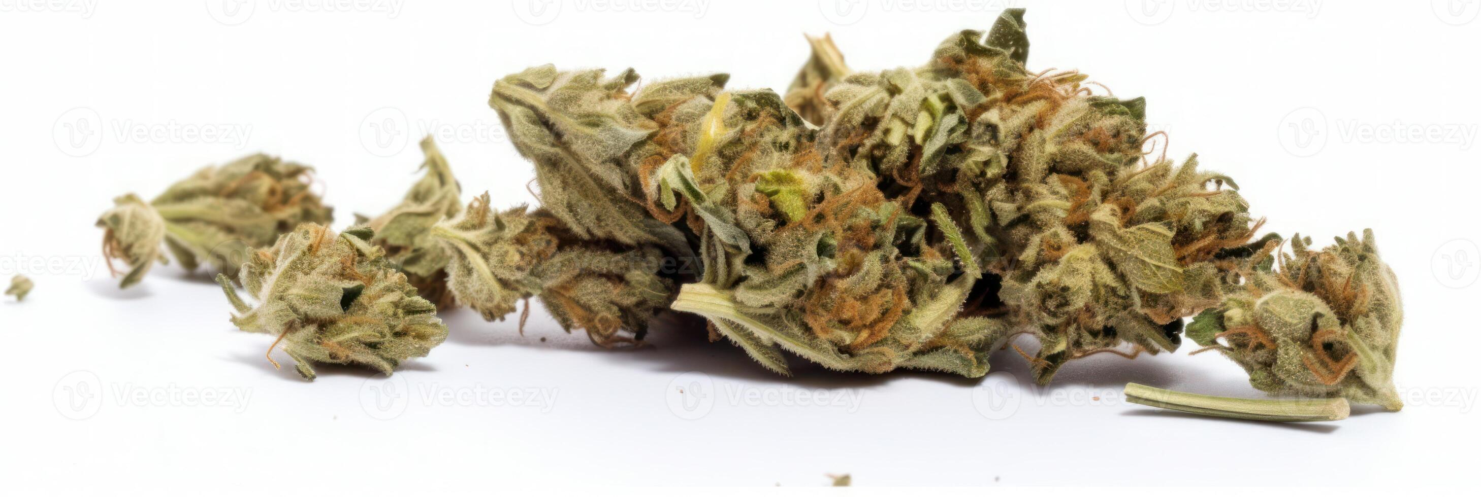 AI generated Cannabis buds on white background photo