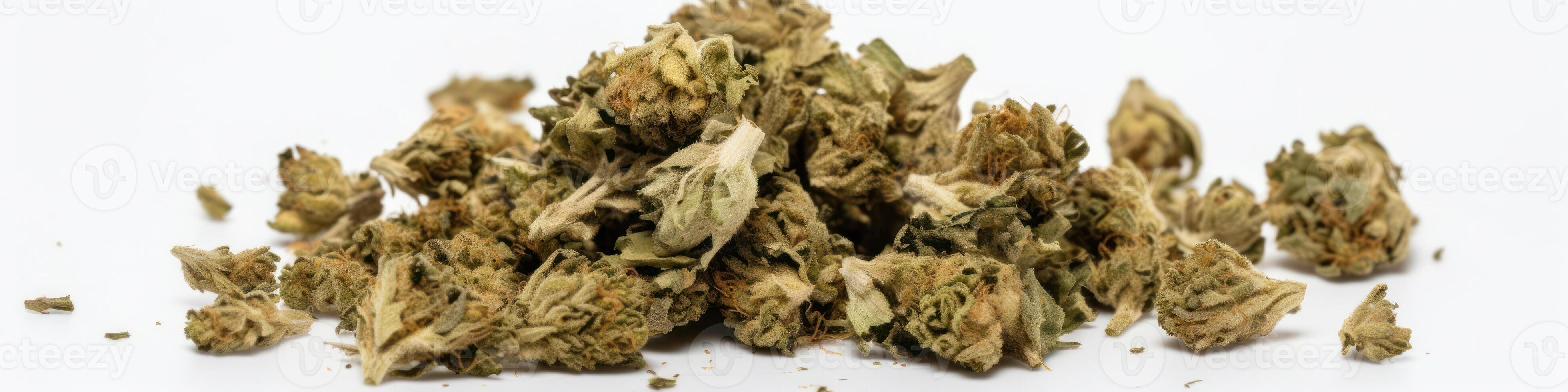 AI generated Cannabis buds on white background photo