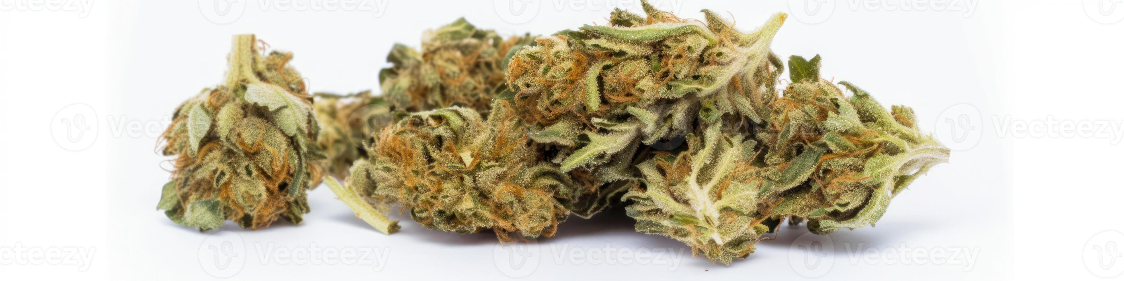 AI generated Cannabis buds on white background photo