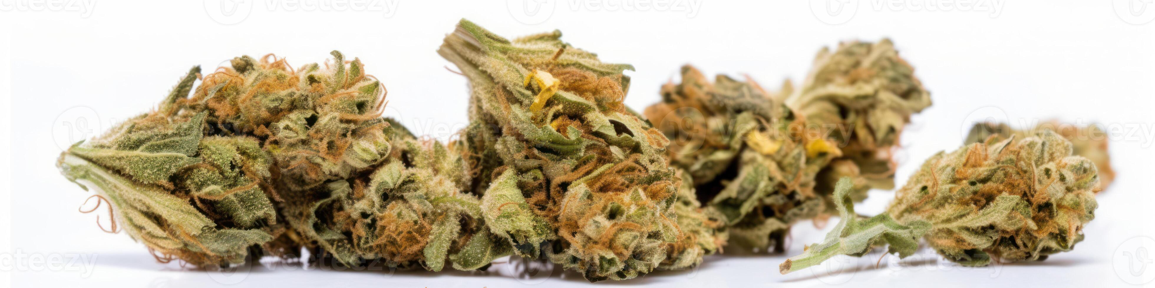AI generated Cannabis buds on white background photo
