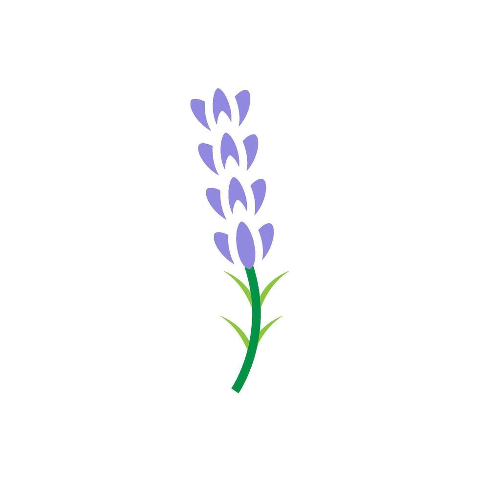 lavender icon vector design templates