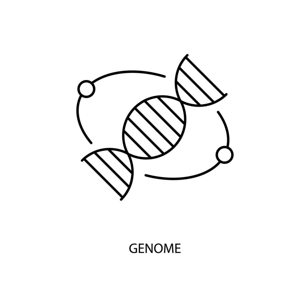 genoma concepto línea icono. sencillo elemento ilustración. genoma concepto contorno símbolo diseño. vector