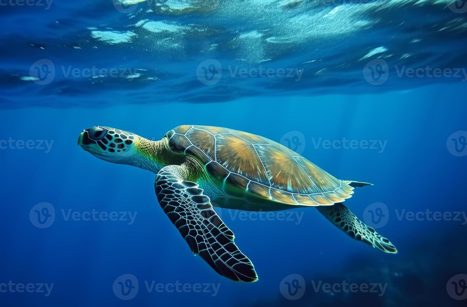 AI generated Sea turtle underwater swimming in the blue sea. Vivid blue ocean with turtle. Scuba diving with wild aquatic animal. photo