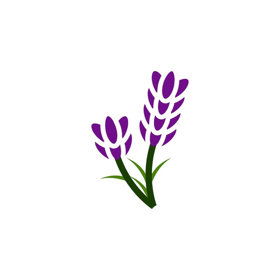 lavanda icono vector diseño plantillas