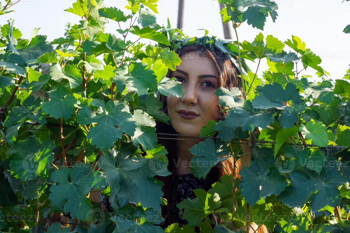 pretty young woman in the nature photo