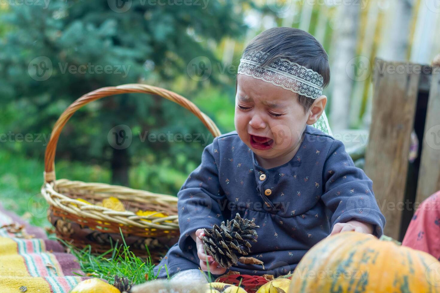 the little child playing in the park with fruits, little girl in the autumn park photo