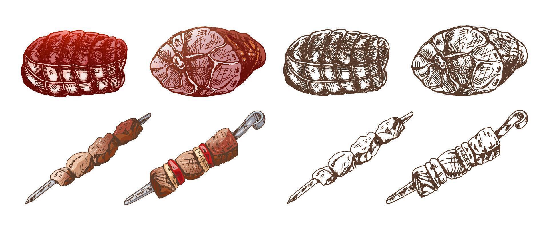 conjunto de dibujado a mano de colores y monocromo bocetos de carne piezas, jamón, cerdo, seco carne, brochetas Fresco carne productos para diseño de menú, Carnicero tienda. vector