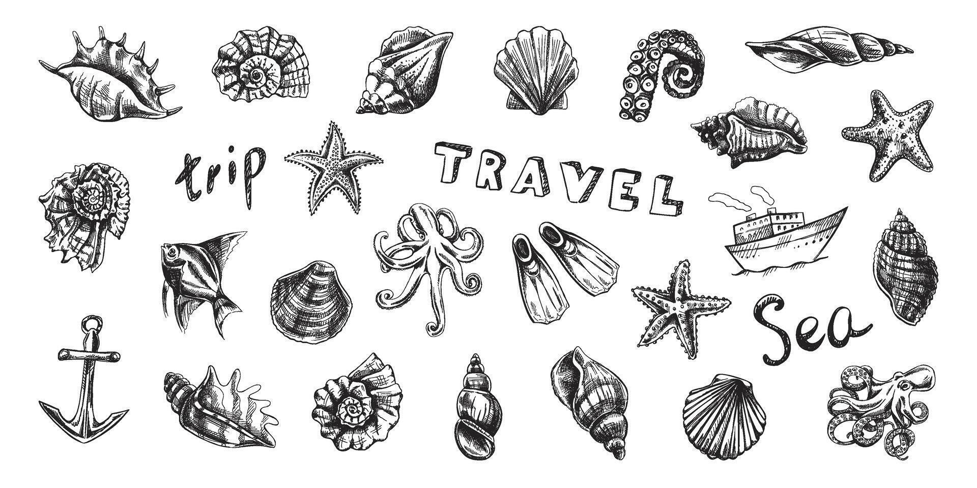 Ocean and Travel icons. Seashells, octopus, fish, starfish, seahorses, ammonite vector set. Hand drawn illustration. Collection of realistic sketches of various ocean creatures and letterings.