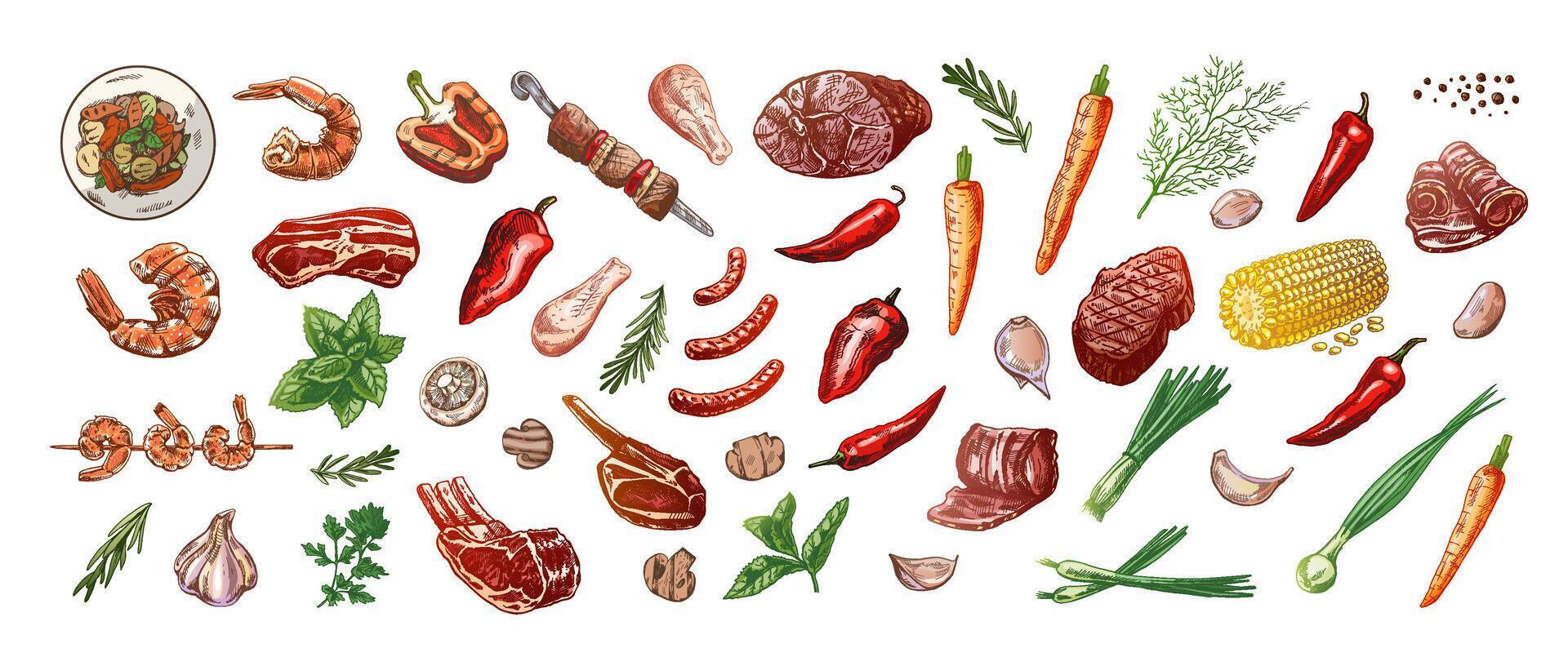 Set of hand-drawn colored sketches of barbecue and picnic elements, meat. For the design of the menu, grilled food. Doodle vintage illustration. Engraved image. vector