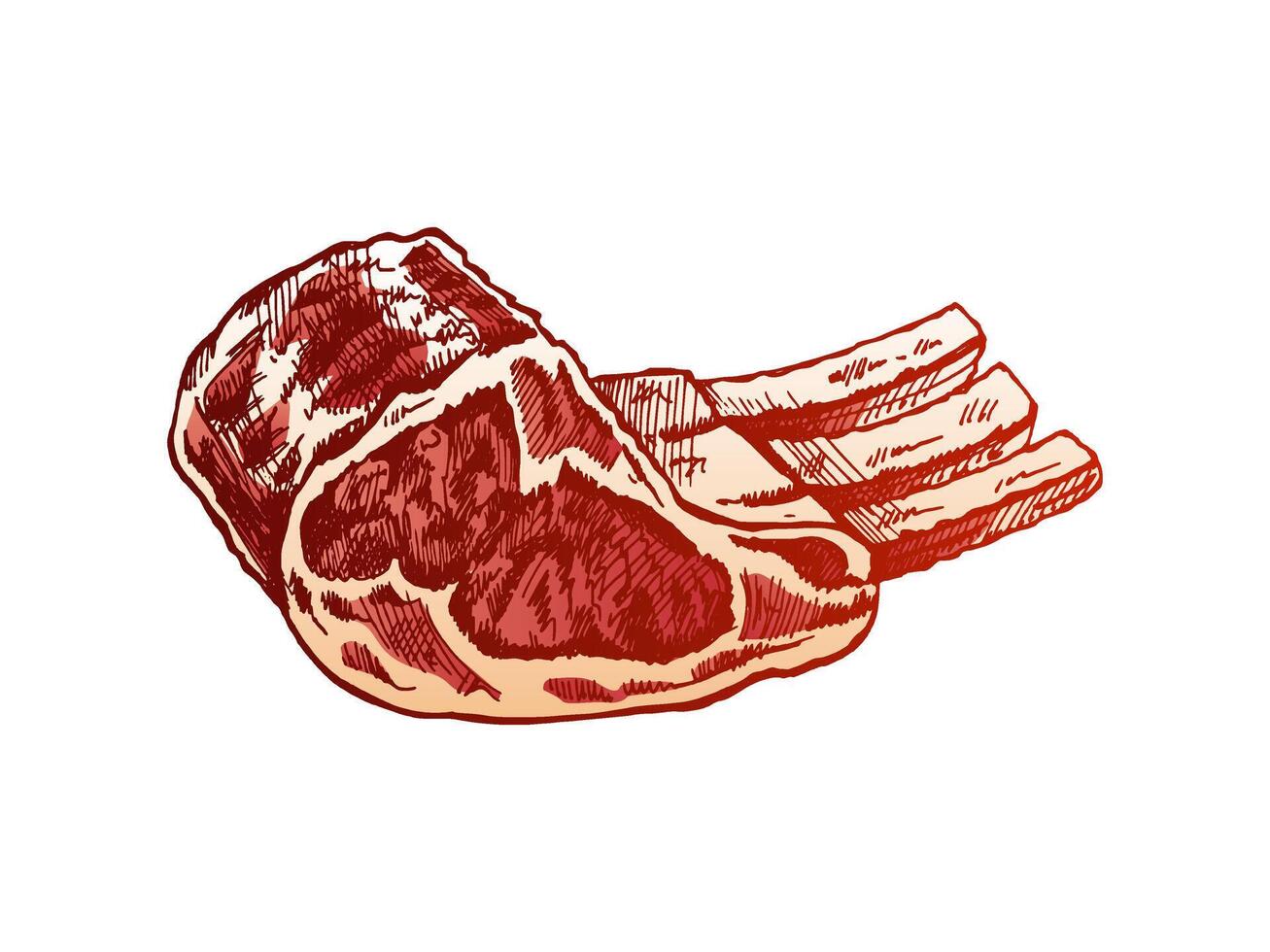 Organic food. Hand-drawn colored vector sketch of pork, beaf, lamb ribs, piece of meat. Vintage illustration. Decorations for the menu of cafes. Engraved image.