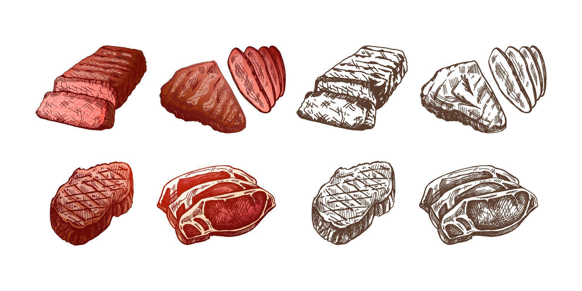 Organic food. Hand-drawn colored and monochrome vector sketches of grilled beef steaks, pieces of meat. Vintage illustration. Decorations for the menu. Engraved image.